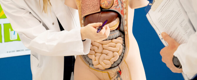 Die Leber gesund halten: Dafür hat die Deutsche Leberstiftung einige Tipps, die sich häufig leicht umsetzen lassen.